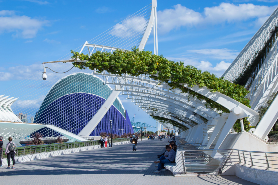 Company Retreats Valencia