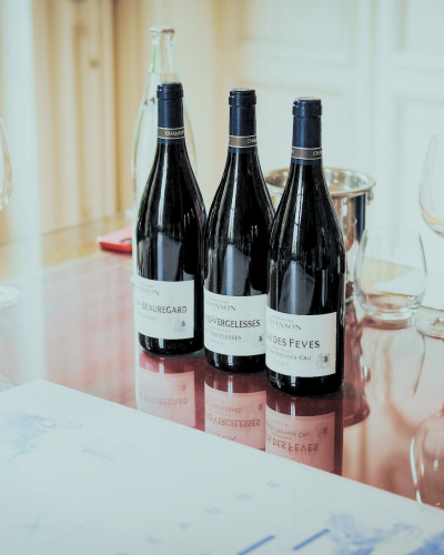 Wine Tasting with Pairing Games