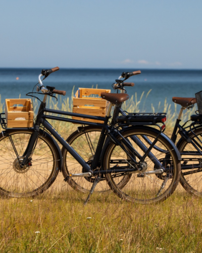 Coastal E-Bike Ride